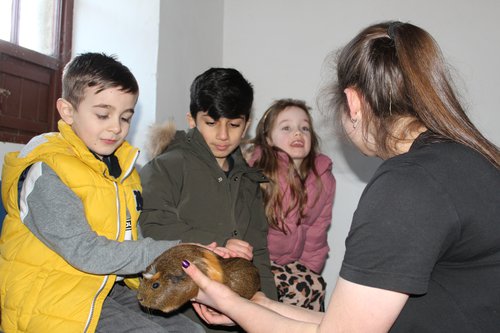 Birthday Animal Handling