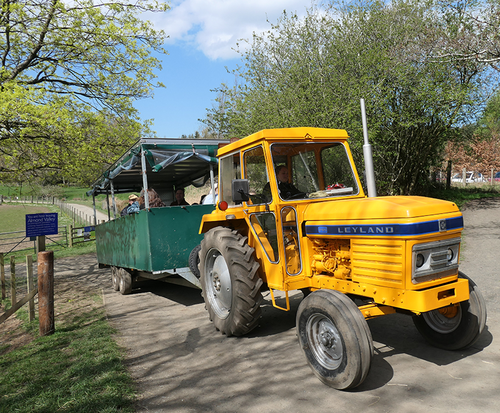 tractor2.png